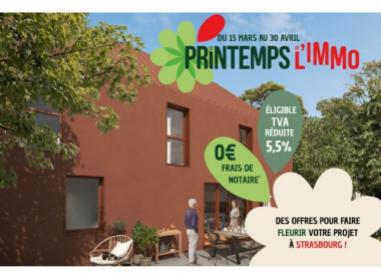 Programme immobilier neuf appart Strasbourg