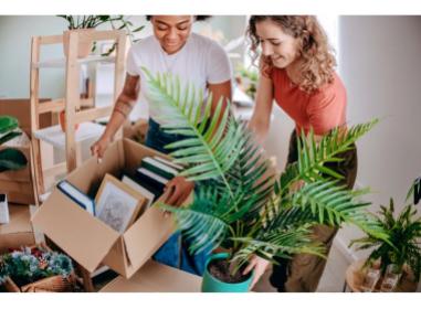 Programme immobilier neuf appart Montussan