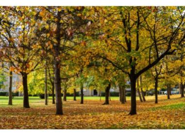 Programme immobilier neuf appart Dugny