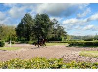 Programme immobilier neuf appart Lamorlaye