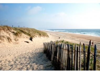 Programme immobilier neuf appart Soustons