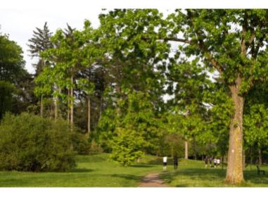 Programme immobilier neuf appart Lyon 8ème