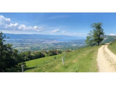 Programme immobilier neuf appart Beaumont