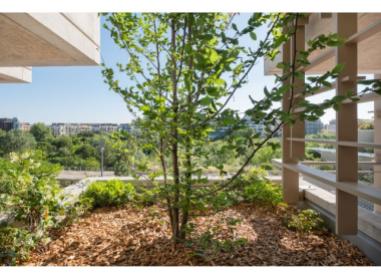 Programme immobilier neuf appart Montpellier