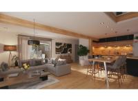 Mixte Décines-Charpieu