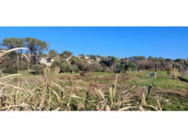 Programme immobilier neuf appart Fréjus