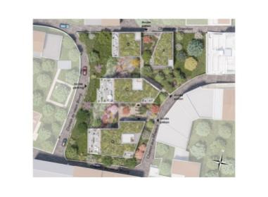 Programme immobilier neuf appart Saint-Didier-au-Mont-d'Or