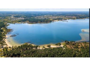 Programme immobilier neuf appart Sanguinet