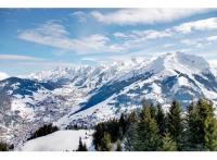 Projet immobilier Annecy : Passage de Flore