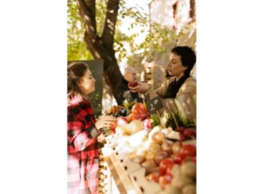 Programme immobilier neuf appart Rognes