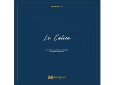 Programme immobilier neuf mixte Brignais