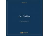 Logement neuf Brignais : Le Calice