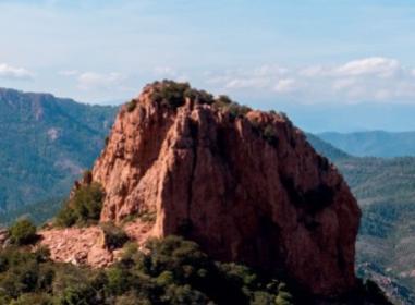 Programme immobilier neuf appart Le Muy