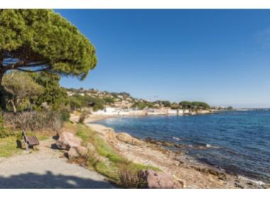 Programme immobilier neuf maison Roquebrune-sur-Argens