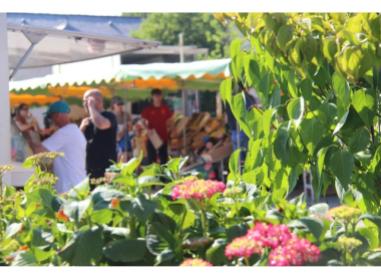 Programme immobilier neuf maison Montgermont