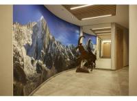 Appart Chamonix-Mont-Blanc