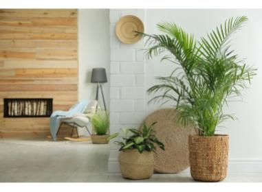 Soustons programme neuf  Bleu du Sud - Villas BRS
