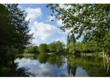 Les Jardins Bois Soleil Immobilier neuf Challans