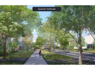 Projet immobilier Rillieux-la-Pape : Nouvel'r