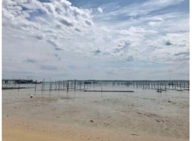 Villas Beaurivage programme neuf Arcachon