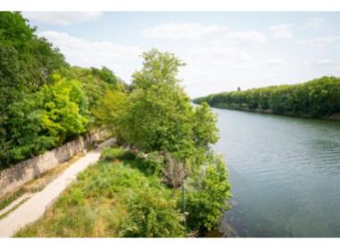 Épinay-sur-Seine programme neuf  Les Terrasses de Paris