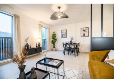 Logement neuf Neuville-sur-Saône : Éponyme