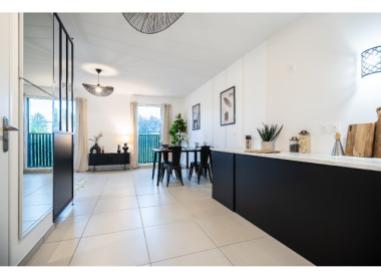 Projet immobilier Neuville-sur-Saône : Éponyme