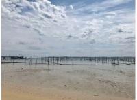 Logement neuf Arcachon : Villas Beaurivage