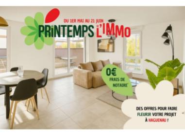 Logement neuf Haguenau : Hikari
