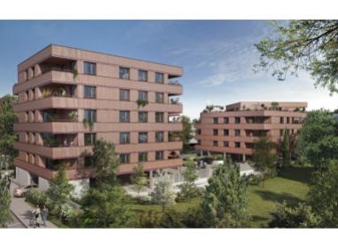 Programme immobilier Ikki