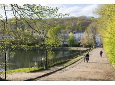 Programme neuf Ville-d'Avray : Les Villas d'Eugénie