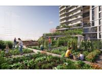 Projet immobilier Bagneux : Green Line