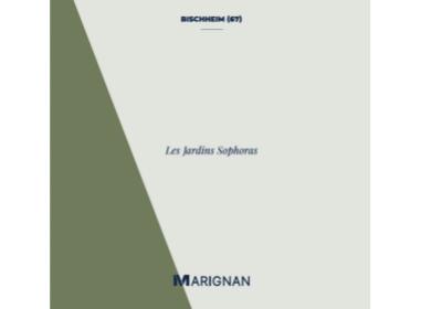 Programme immobilier neuf appart Bischheim