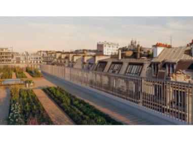 Logement neuf Paris 9ème : 23 Petrelle