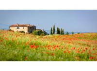 Orange programme neuf Heliodore