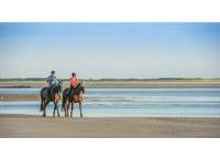 Appart Berck-sur-Mer