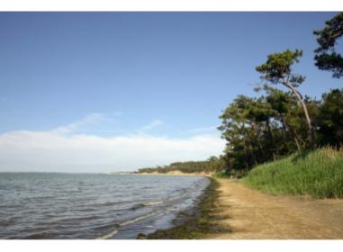 Programme immobilier neuf maison Saint-Sulpice-de-Royan