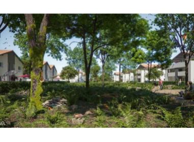 Mixte Saint-Vincent-de-Tyrosse