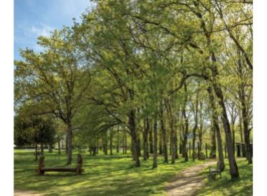 Programme immobilier neuf appart Pont-Péan