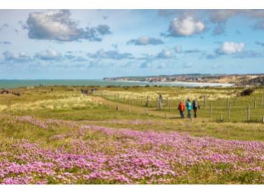 Programme immobilier neuf appart Ambleteuse