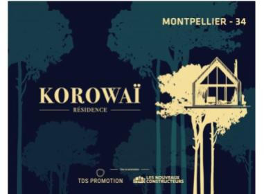 Programme immobilier neuf appart Montpellier