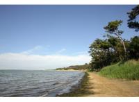 Programme immobilier neuf maison Saint-Sulpice-de-Royan