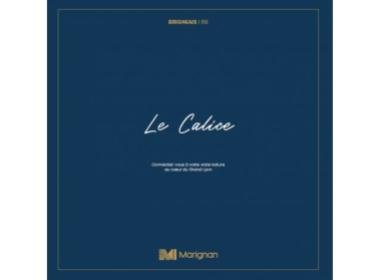 Logement neuf Brignais : Le Calice