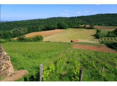 Programme immobilier Les Jardins du Moulin