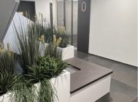 Appart Oberschaeffolsheim