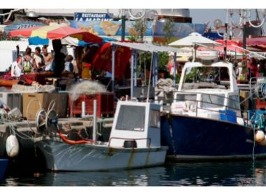 Appart Saint-Cyprien