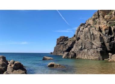 Programme immobilier neuf maison L'Île-d'Yeu