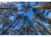 Appart Parentis-en-Born