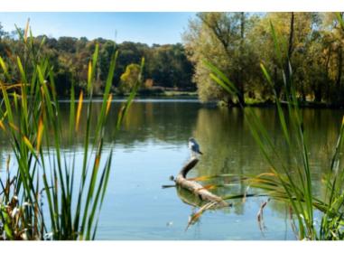 L'Écrin des Coteaux Immobilier neuf Morsang-sur-Orge