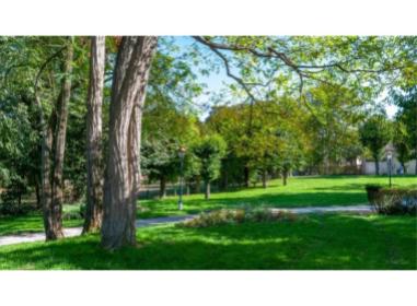 L'Écrin des Coteaux programme neuf Morsang-sur-Orge